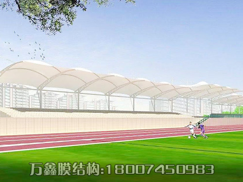 體育場(chǎng)所膜結(jié)構(gòu)