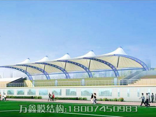 體育場所膜結構